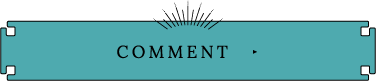 COMMENT